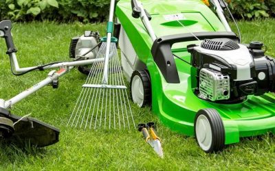 Easy to follow lawn care suggestions for you.
